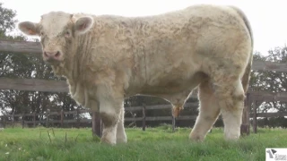 Julio, un nouveau crack pour les jeunes